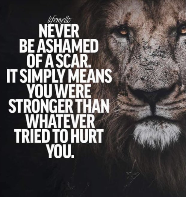 CalvinUnderwo15's tweet photo. 💯 https://t.co/7GP8vR7WXm