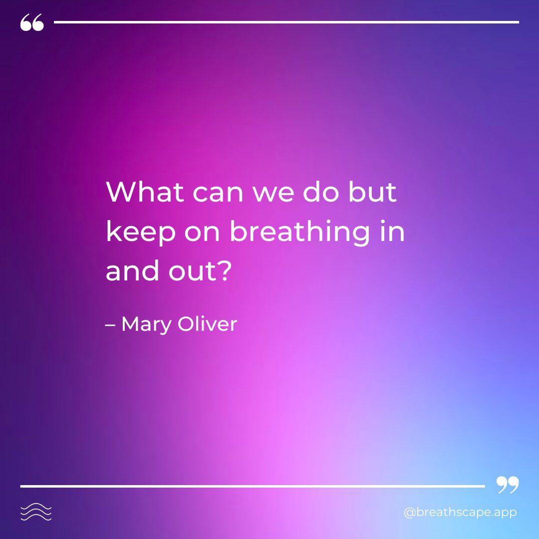 breathscapeapp's tweet photo. Breathscape reminds us to navigate our lives one breath at a time.  The gentle biofeedback from the app cultivates a deep state of breath awareness that persists throughout the day. Drop in for a session this evening? https://t.co/ZLEEpcHyAA