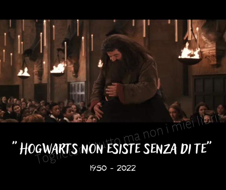 ConatoAdriano's tweet photo. Addio #RobbieColtrane, interprete di #RubeusHagrid...maledetto 2022, questo non dovevi farlo, non dovevi proprio farlo! 😫
Buon viaggio #Hagrid 🥺😢😭
Potterheads in alto le bacchette per il nostro amato Hagrid! 💙/*
《Io non ci sarò più...ma Hagrid si..》cit. 🥲 #hagridforever https://t.co/4kx4mpbvqJ