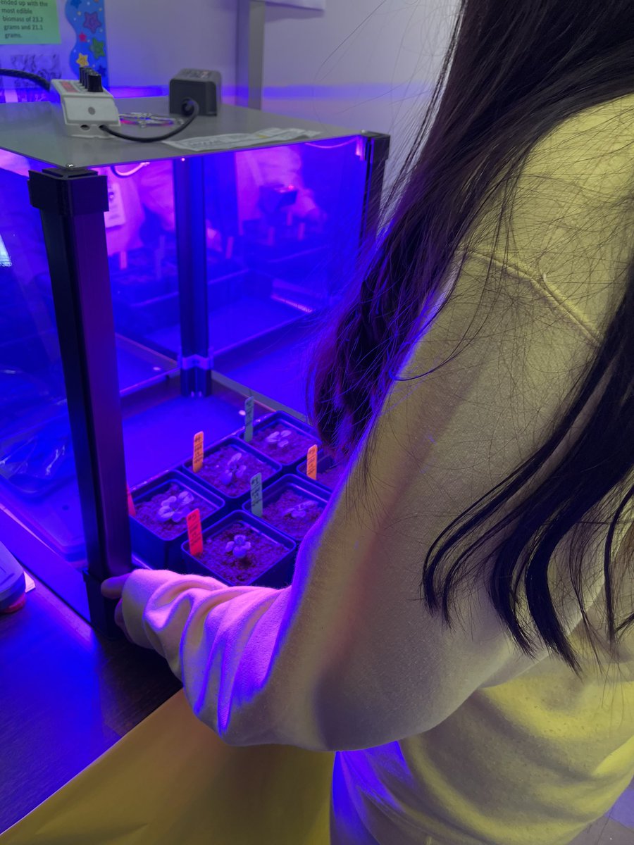 Ms Ro-Do tweet media