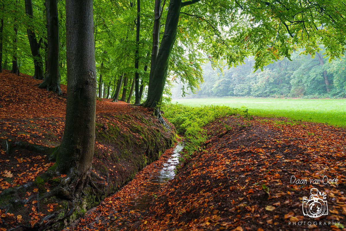 DaanvanOort's tweet photo. #landscapephotography #warnsborn @gemeentearnhem #leicaq2 #leica #Autumn https://t.co/8xkwAN9YN2