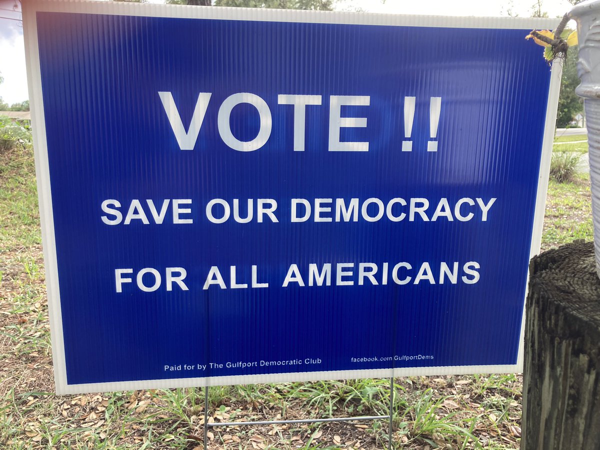 #VotingMatters❌ 👑Elon wants to silence us. tweet media