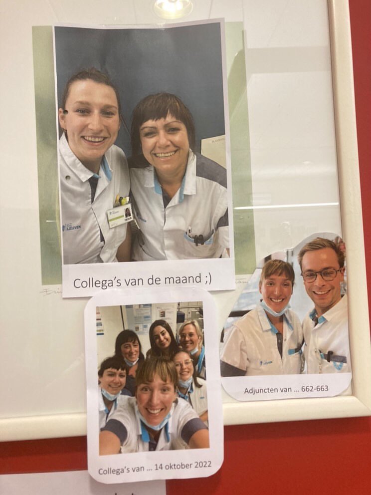 UZLeuvenNursing's tweet photo. Work hard, play hard. Het team van E663 @UZLeuven voegt de daad bij het woord. Wat een topteam! #verpleegkunde #logistiekmedewerkers #zorgkundigen #nursing @luytsviona, adjunct hoofdverpleegkundige https://t.co/sUfrLb9XDa