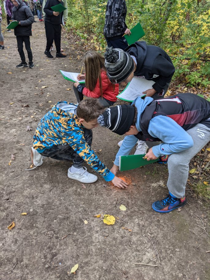 LakeDenoon's tweet photo. Today, our sixth grade geologists did a nature walk and used the Wentworth scale to determine the size classifications of rocks. #TimberwolfWay https://t.co/IOq7ithDBA