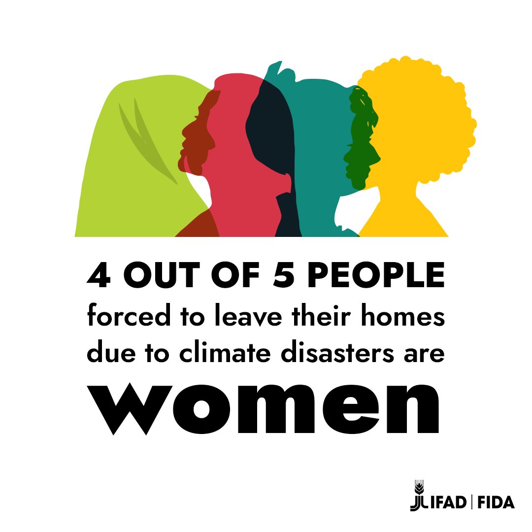 UN's tweet photo. Rural women are among those most affected by the climate crisis – and when disasters hit, they pay the highest price.

On Saturday's International Day of #RuralWomen, @IFAD explains why empowering women is key for tackling the climate emergency. 
https://t.co/xIaBbQaRmv https://t.co/qG0g086swp
