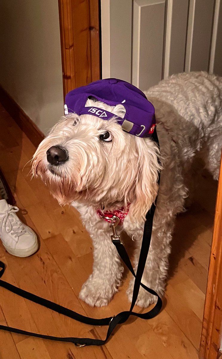 Rachel Kelly tweet media