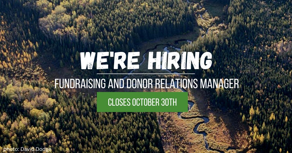 CPAWSNAB's tweet photo. 📢 We're Hiring! 📢We are looking for a Fundraising and Donor Relations Manager. This position will be a shared 1-year contract with our chapter and our friends at @cpawssab 

Posting closes October 30th 
https://t.co/oM8XMgwTEx https://t.co/n2lmuRUxtR
