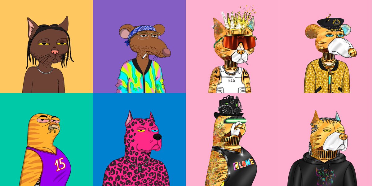 delmargizmo's tweet photo. Full set Friday on a Saturday 🇦🇺

Have an awesome day $gang, whether you're wrapping up your work week or kicking off your weekend ✌️🏽

#GangGang @GutterCatGang https://t.co/dKdon4jB2G