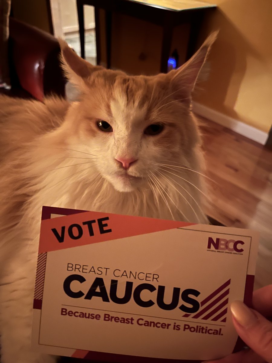 An important message from Perry #vote #nbcc #stopbreastcancer #bcam #catsagainstbreastcancer