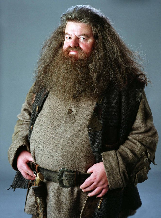 bernardoavents's tweet photo. Good bye Hagrid 😢 #hagridforever #HarryPotterMagicAwakened #harrypotter https://t.co/T9esxbcpDT