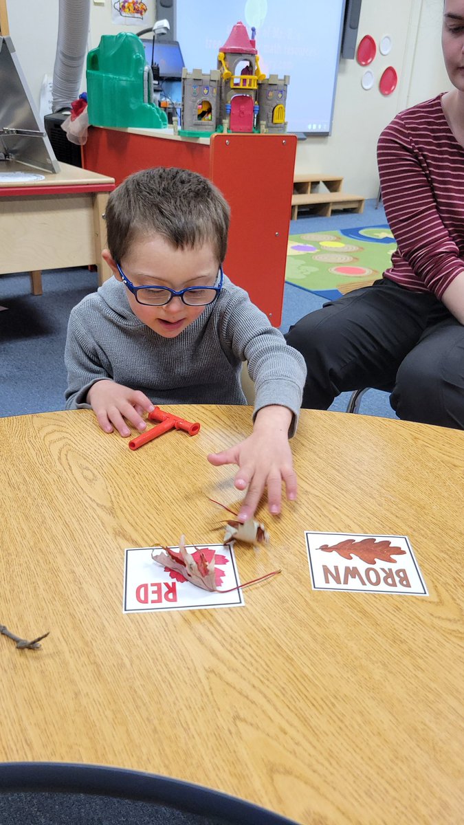 Alison Bancroft tweet media