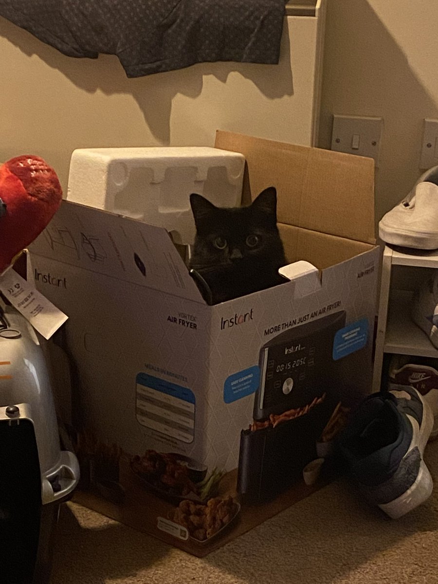 voodookitter's tweet photo. we’m not need nise beds, we’m havf othar thing to sit an sleap in … such ass, bocks, rug ., flore ,and were mombe was jus sitteng https://t.co/uvNbV4jhrA