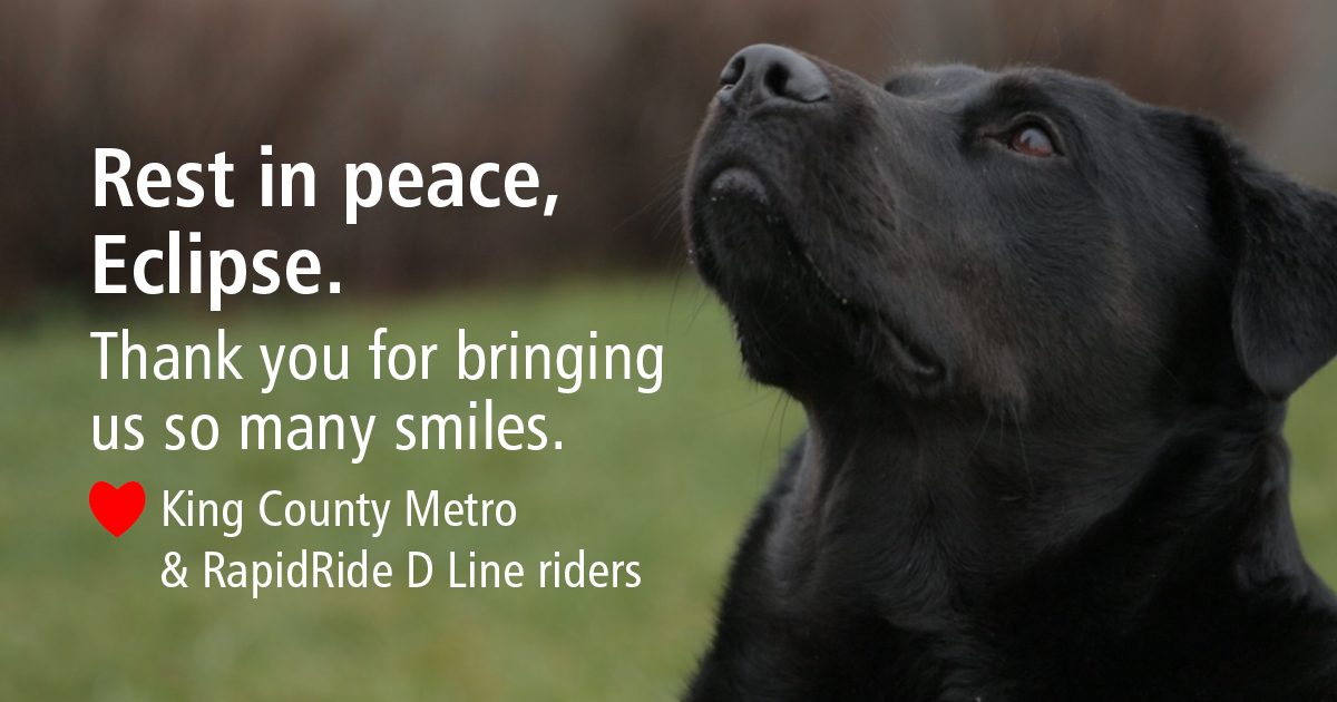 King County Metro ️☃️🚏 🚌🚎⛴🚐 on Twitter: 