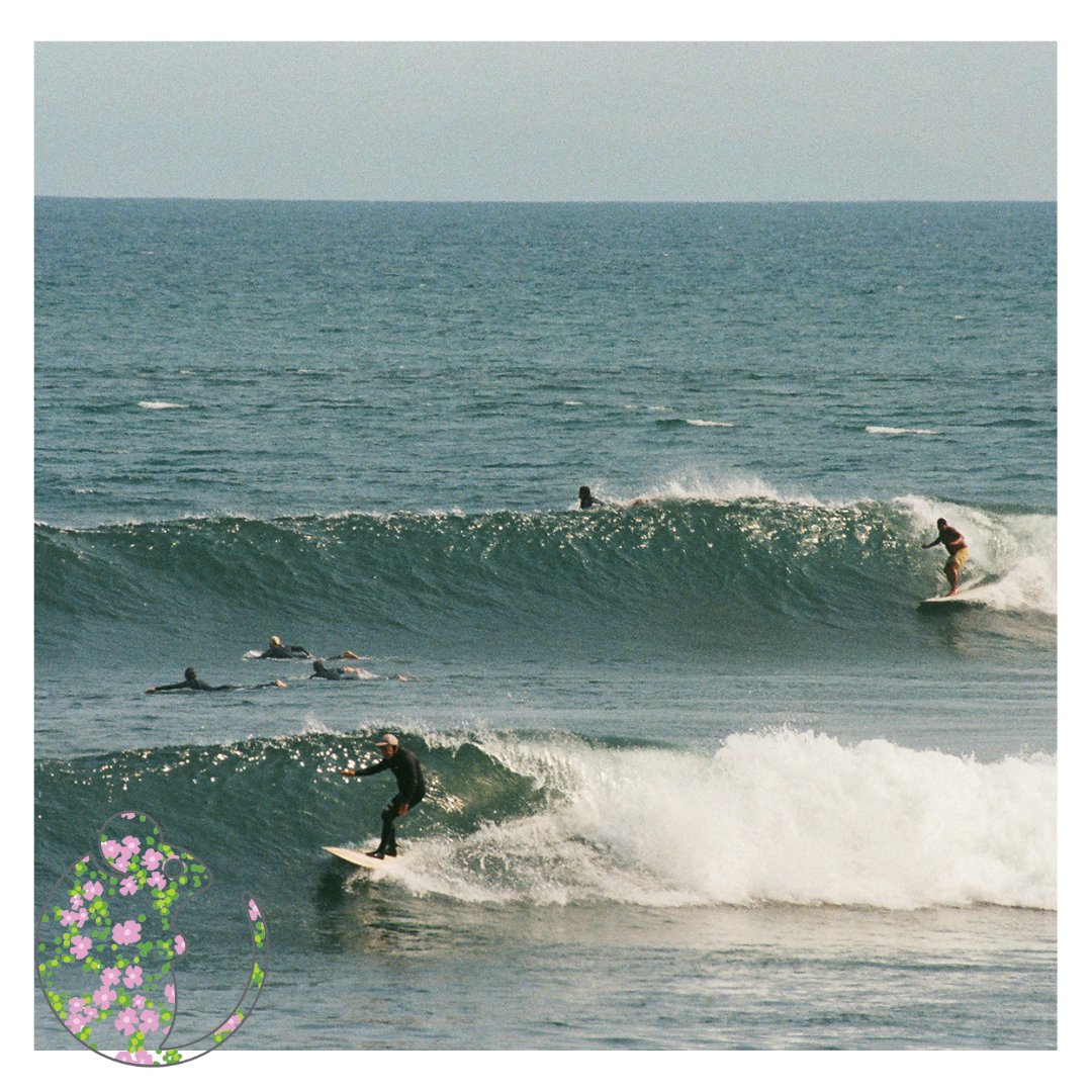 MowsseHowsse's tweet photo. "Big Wednesday" by Mowsse artist Todd Weaver 
 
"Shot on 35mm film in California. All color achieved by analog means."

View the full collection at https://t.co/sY7Q0yCrNJ

#nfts #nft #nftart #nftcommunity #nftcollector #mowssehowsse https://t.co/EubWAqpTEC
