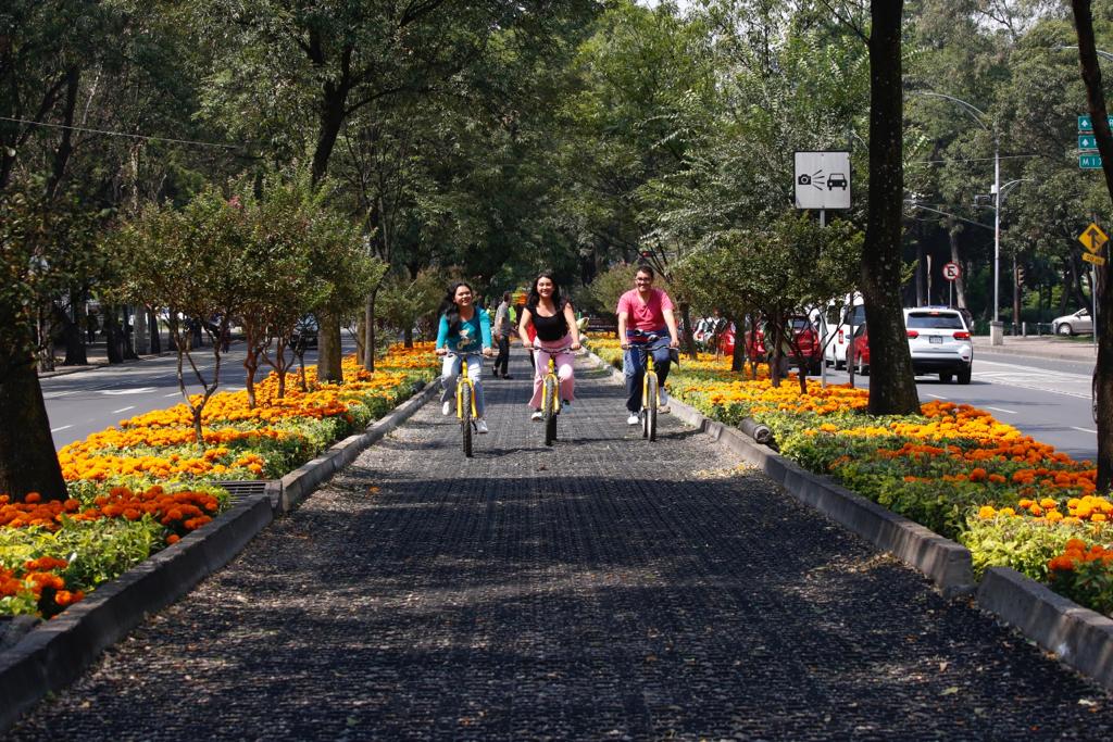 Como parte de los festejos por el #DíaDeMuertos, plantamos en 8 vialidades y el primer cuadro del Centro Histórico, 210 mil flores de #Cempasúchil producidas en Xochimilco.