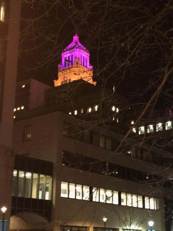 Tonight, Mayo Clinic is lighting its buildings purple and yellow in recognition of #DLDDay. On average, 2 students in every class of 30 have a neurodevelopmental condition called Developmental Language Disorder or DLD. Learn more: bit.ly/3CttP4i