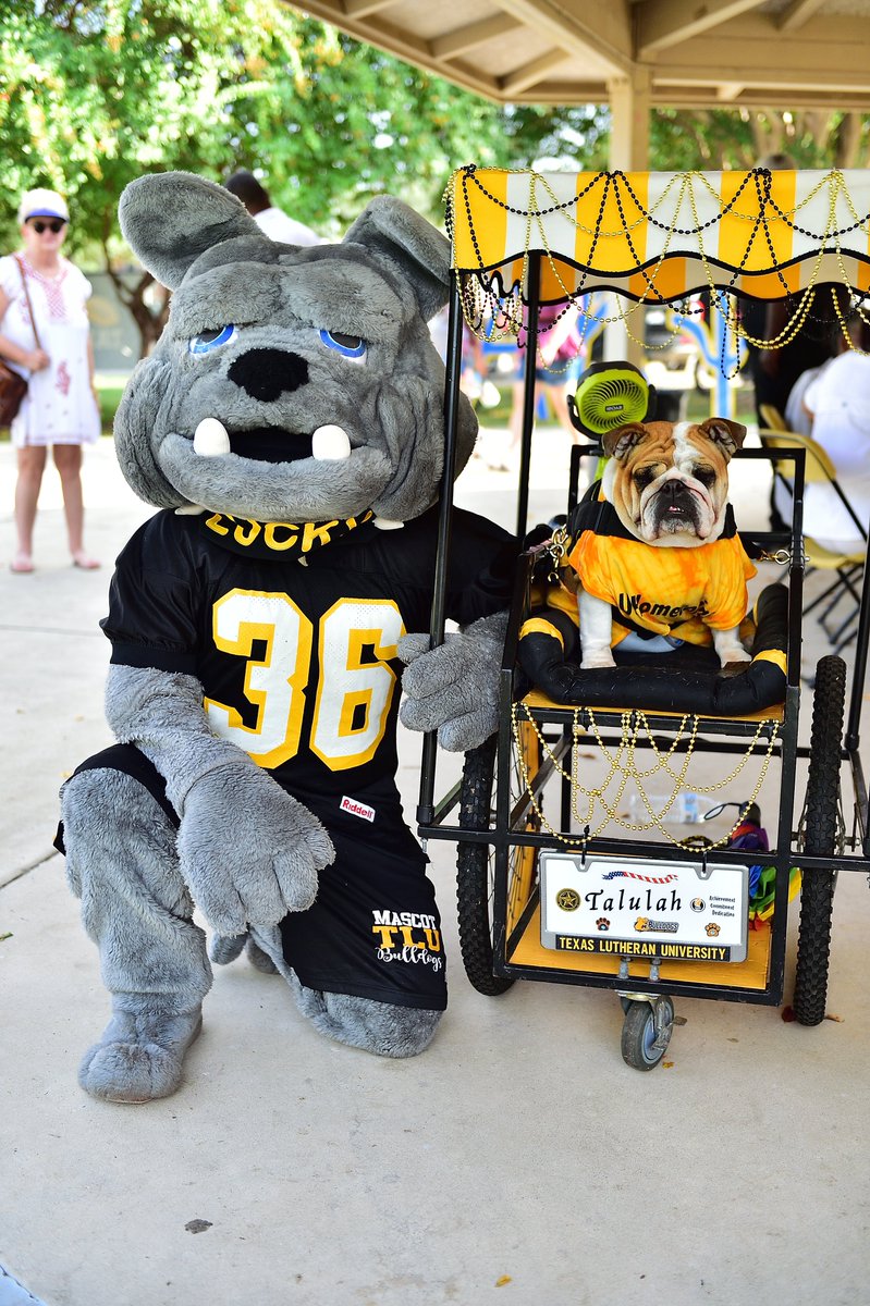 Texas Lutheran University tweet media