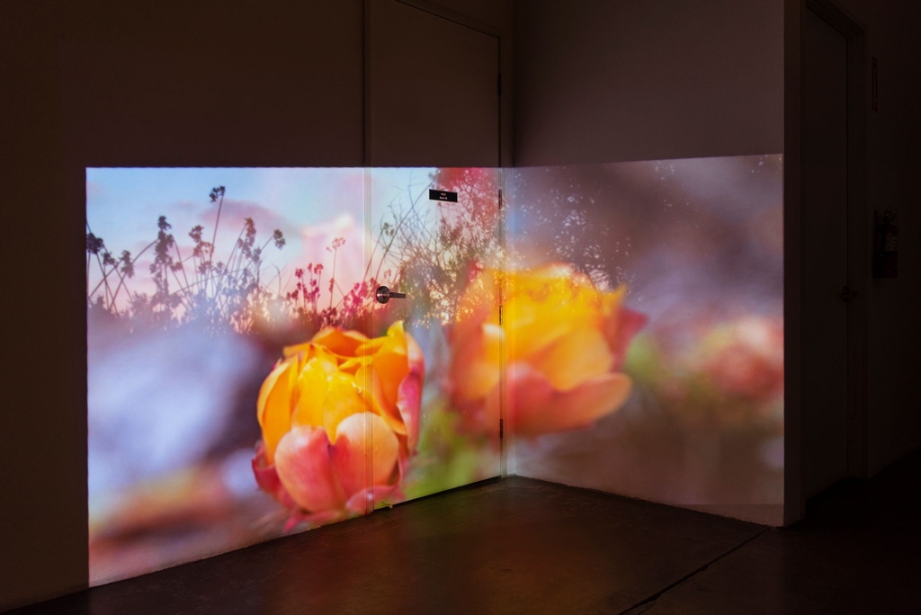 InglewoodArt's tweet photo. IOS 2022 Art Walk will feature work by: Halina Kliem &amp; Daniel Rothman

The Ballona/Waachnga Project is a durational, multistage work that, through a variety of media, brings together the imagination and science of the Ballona Wetlands, Los Angeles’s last remaining wetland. https://t.co/QetzawyOtH