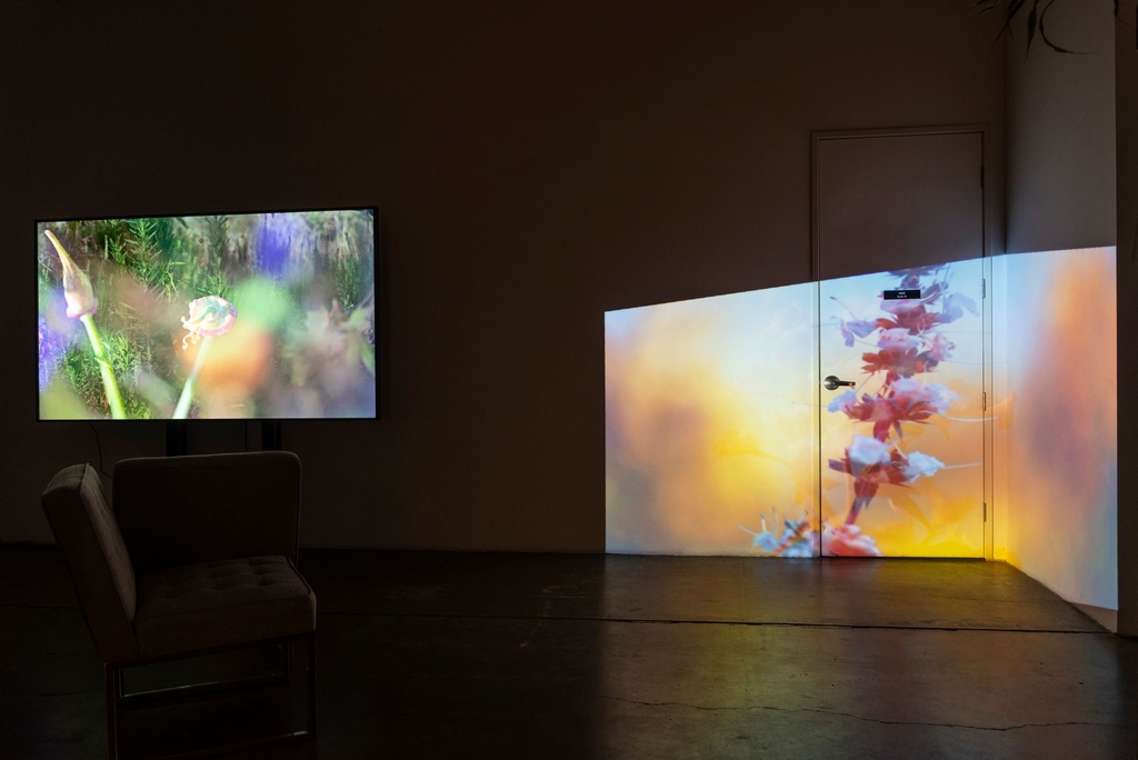 InglewoodArt's tweet photo. IOS 2022 Art Walk will feature work by: Halina Kliem &amp; Daniel Rothman

The Ballona/Waachnga Project is a durational, multistage work that, through a variety of media, brings together the imagination and science of the Ballona Wetlands, Los Angeles’s last remaining wetland. https://t.co/QetzawyOtH
