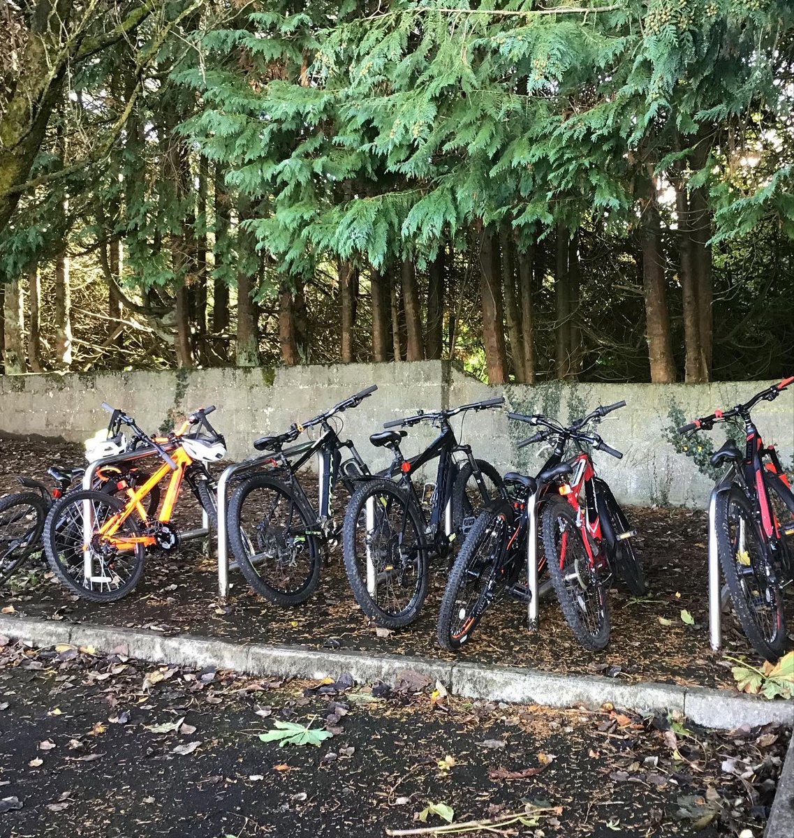 BarnadergNS's tweet photo. Lots of cycling today for #FeetFirstFriday for #ClimateActionWeek @GreenSchoolsIre 🚴🏻♀️🚴 https://t.co/TxIl8z2agL