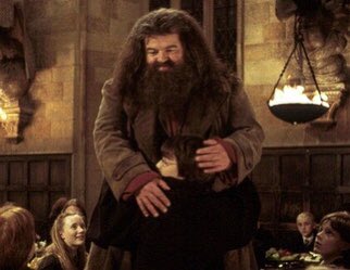 It’s not Hogwarts without you, Hagrid 💔 

RIP Robbie Coltrane