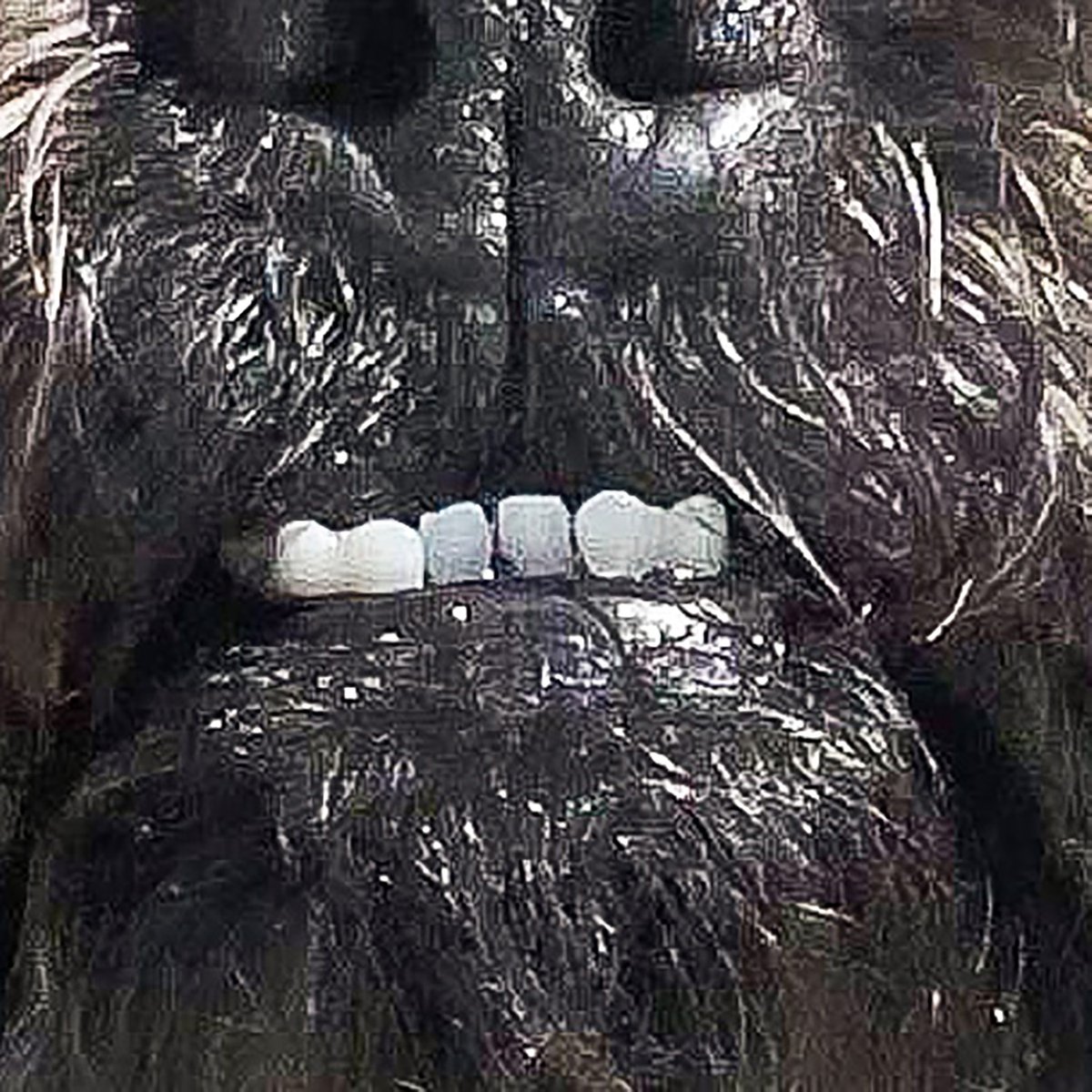Teefy. 🤙🦷🤣😍

Adopt Malki Koala! 💖 bit.ly/MalkiKoalaUPR