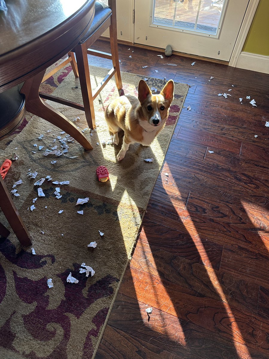 Joshua patton tweet media