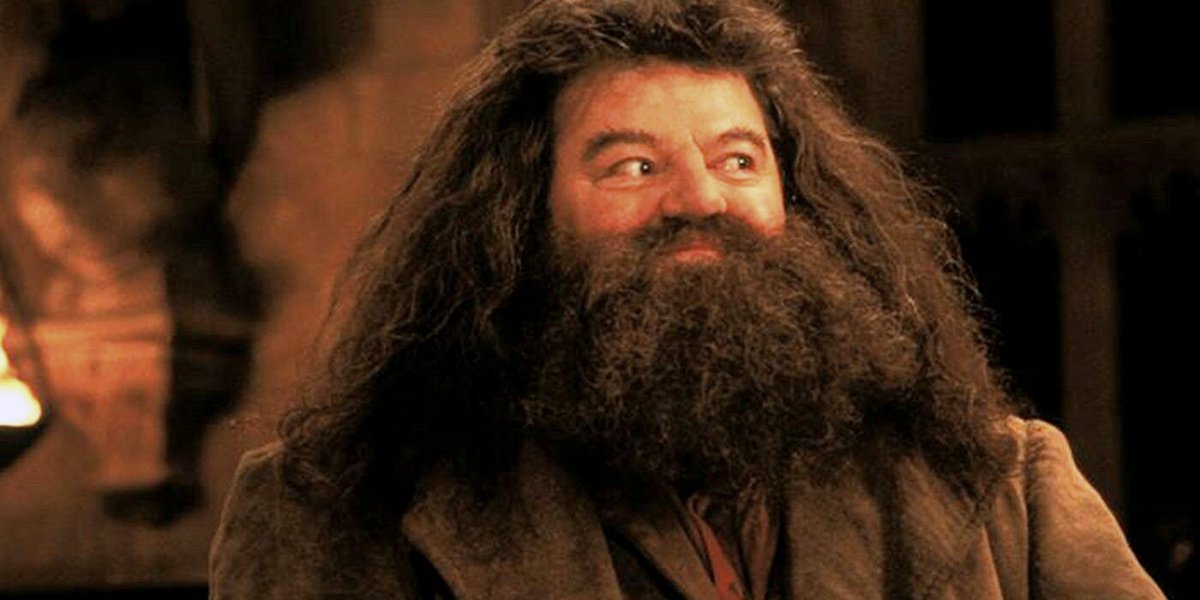 thiegonovais's tweet photo. @jk_rowling He will always be our perfect Hagrid. Rest in peace, Robbie. https://t.co/IkAV7REK9I
