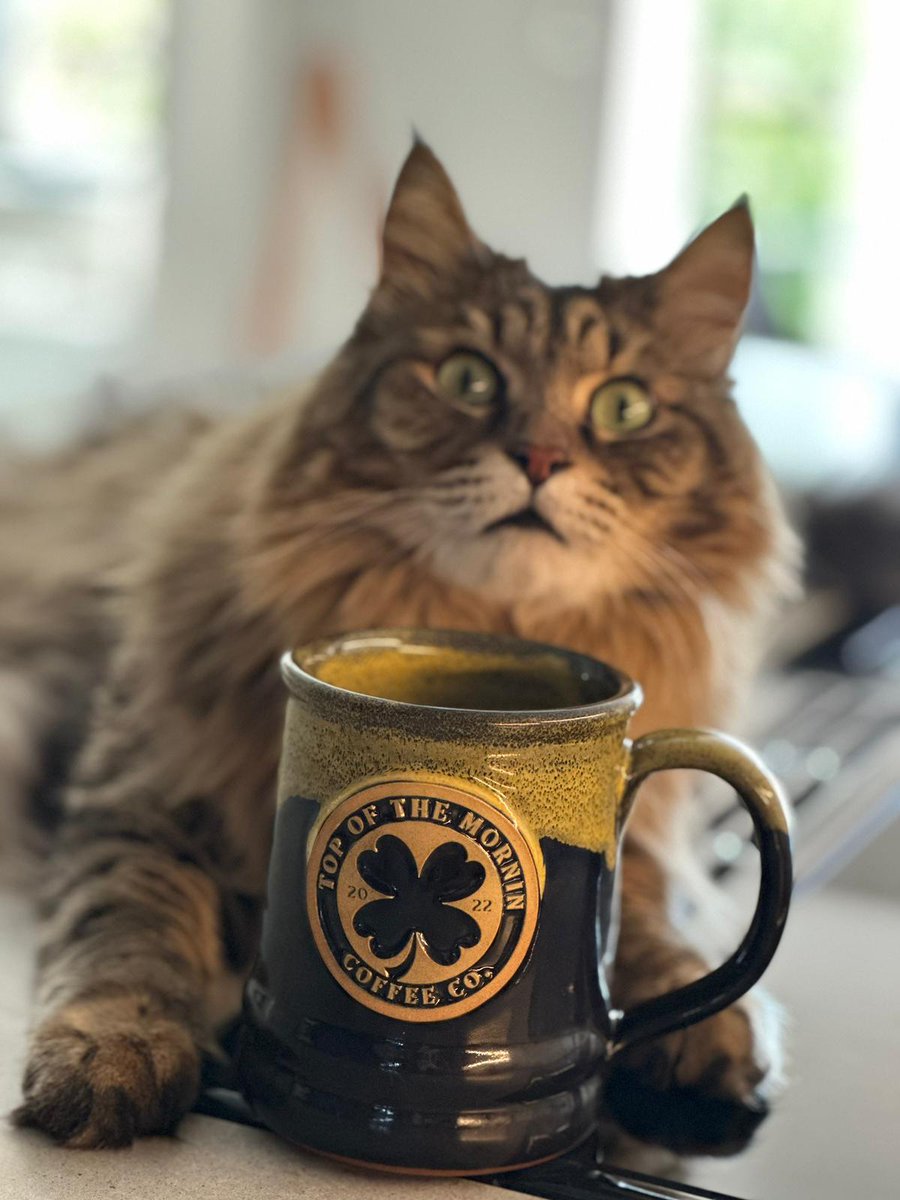 TOTMCoffee's tweet photo. ☕ The new anniversary mug went through a rigorous testing and approval process!! Check out this exclusive behind the scenes of our quality control process! https://t.co/To8tkn7WCI
