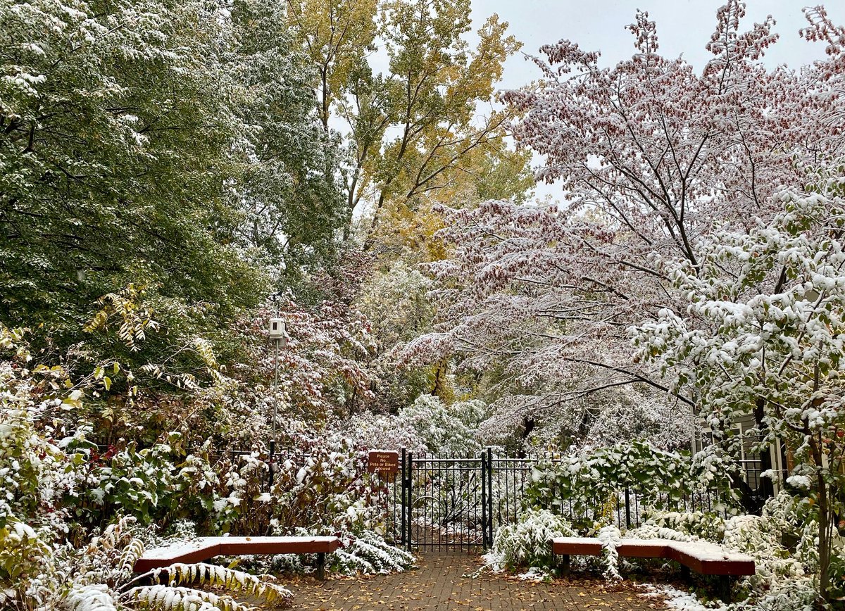 Maplewood Parks & Natural Resources tweet media