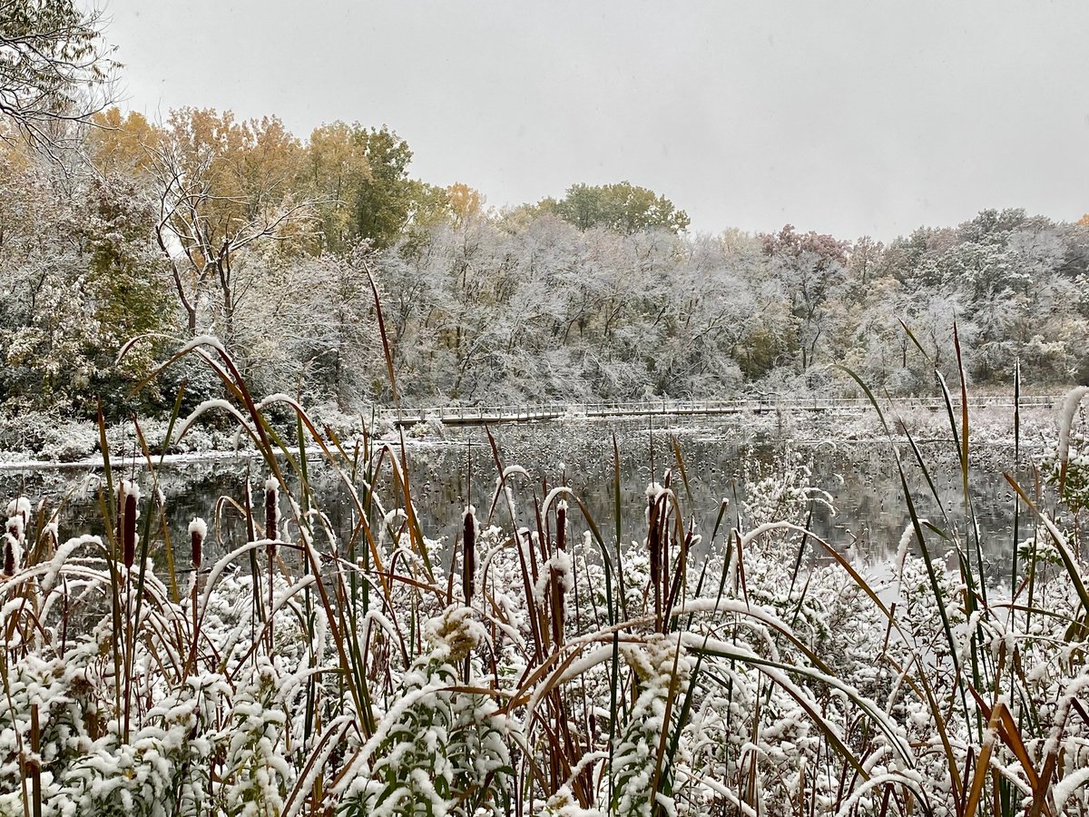 Maplewood Parks & Natural Resources tweet media