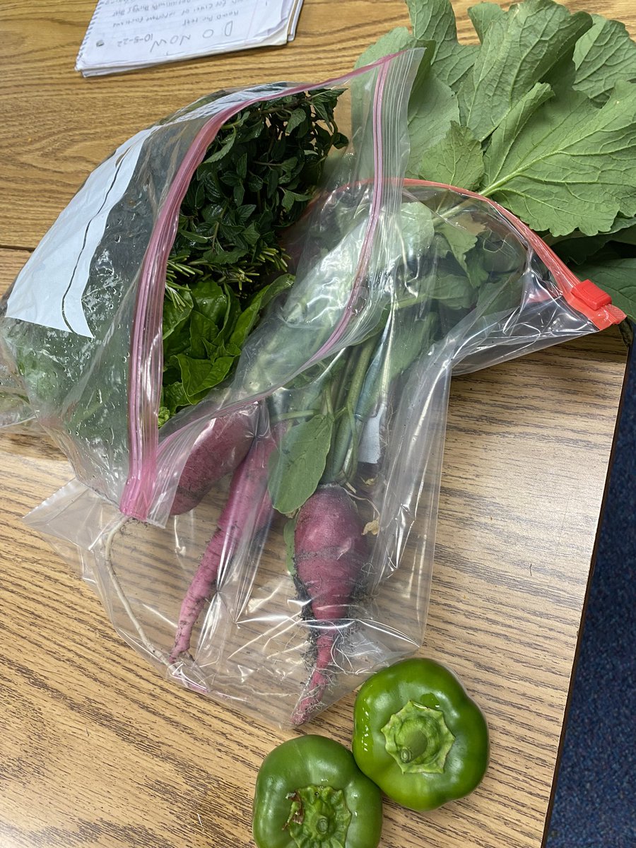 MsYkeenaELAR's tweet photo. Got my Herbs, Radish and peppers for the weekend! Come on by Ruby Young in the back and purchase yours today! #Rubyyoung #RYPSA #Desotoisd #plants https://t.co/XrNgmXog9n
