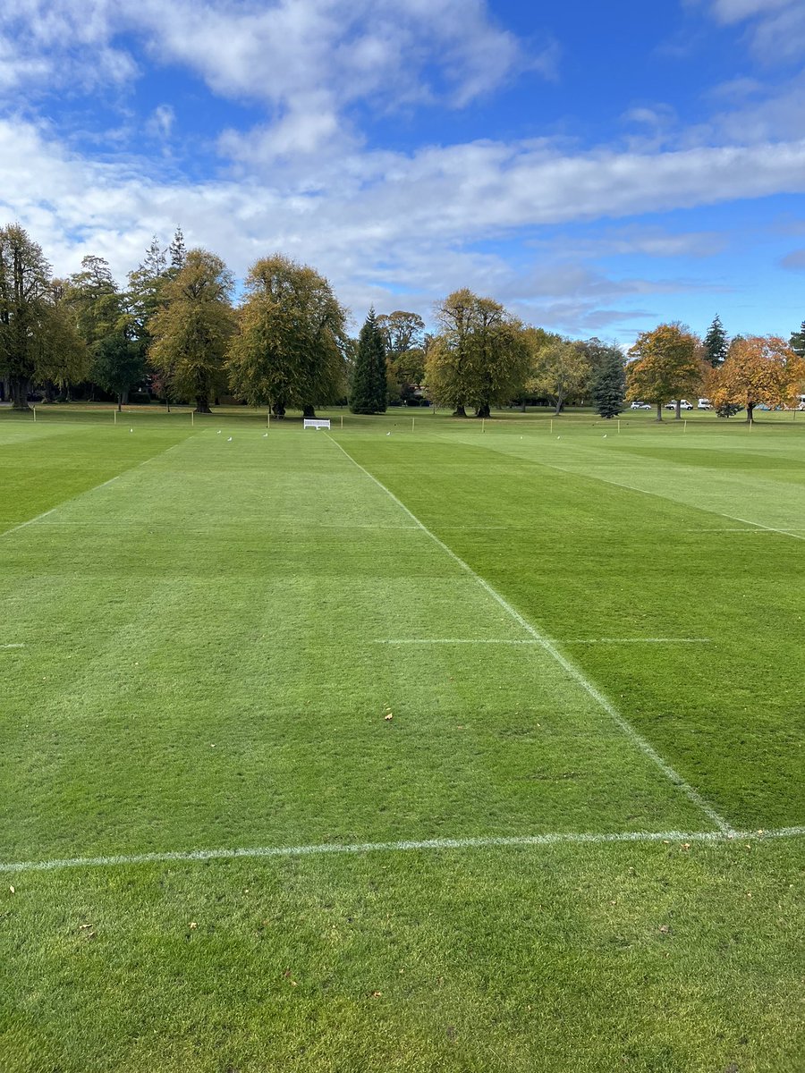 Merchiston Grounds tweet media