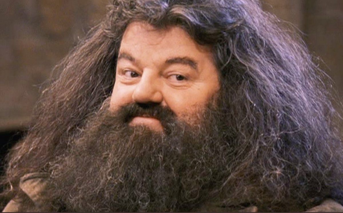 TheOneWithSophs's tweet photo. ‘People will still be watching in 50 years time, yes. I will not be here sadly…but Hagrid will’ 😭💔

#RobbieColtrane #YourAWizardHarry https://t.co/rO0TKZItkt
