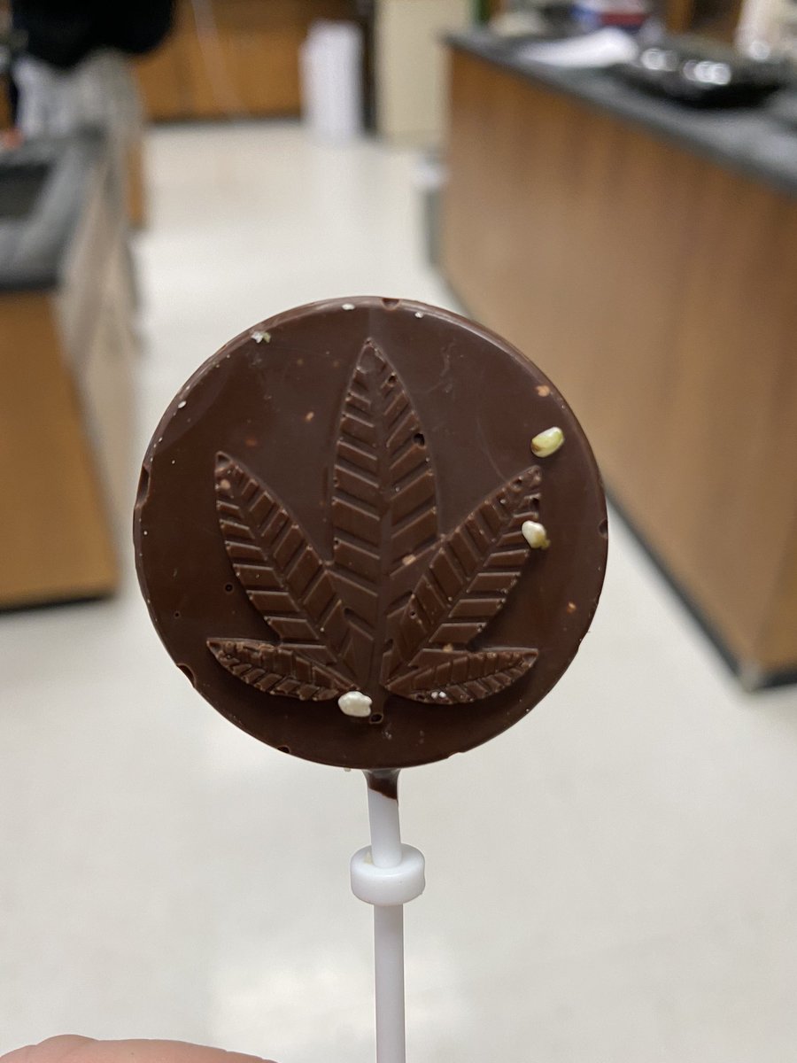 CarlaGarzon7's tweet photo. Here is a peak at some of the hemp based goods my students prepared yesterday @DelVal . I tried the dairy-free chocolates and the syrup today and they were delicious!! #ExperintialLearning https://t.co/KAOr3XBQA6