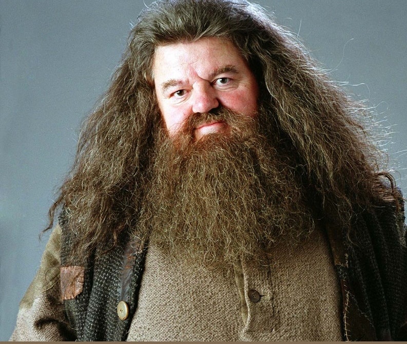 CrisChiqui03's tweet photo. "Credo che la generazione dei miei figli farà vedere i film ai suoi figli. Quindi è probabile che li vedranno ancora tra cinquant’anni. Peccato che io non ci sarò…ma Hagrid sì.“
(Robbie Coltrane)
Ciao Hagrid del mio cuore 💔
#RobbieColtrane #HarryPotter ci mancherai grazie https://t.co/LsW1z3k1R0