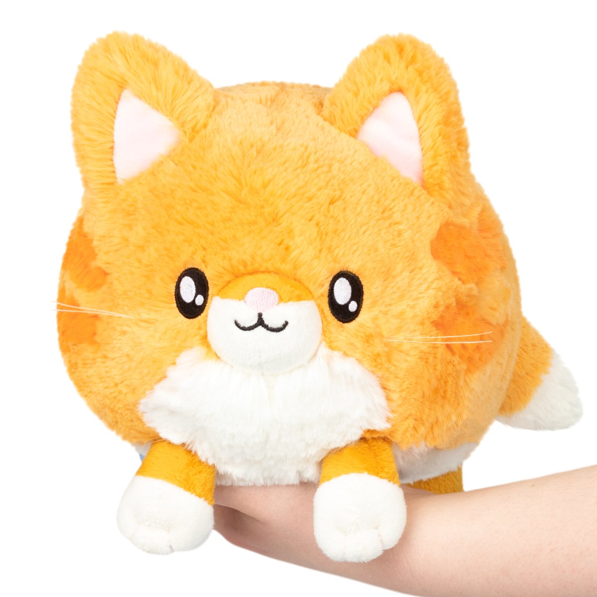 squishable's tweet photo. If you're allergic to cats but you've always wanted one, have we got the purrfect solution for you! Mini Kitty is out now and is just cat-solutely excited to meet you! 😻😻

🐈 Mini Kitty: https://t.co/KXFkWJ5nu4 🐈 https://t.co/QQzydZIoW0