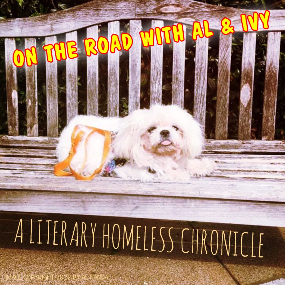 Boogie Underground tweet media