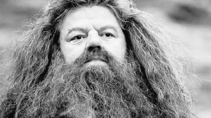 Fan_HarryPotter's tweet photo. Ergam suas varinhas! o_/✨

O ator Robbie Coltrane, nosso eterno Hagrid nos filmes de Harry Potter, faleceu hoje aos 72 anos. 

Que ele descanse em paz e que haja conforto nos corações de familiares e amigos. #RIPRobbieColtrane https://t.co/PC9u7tYeRZ