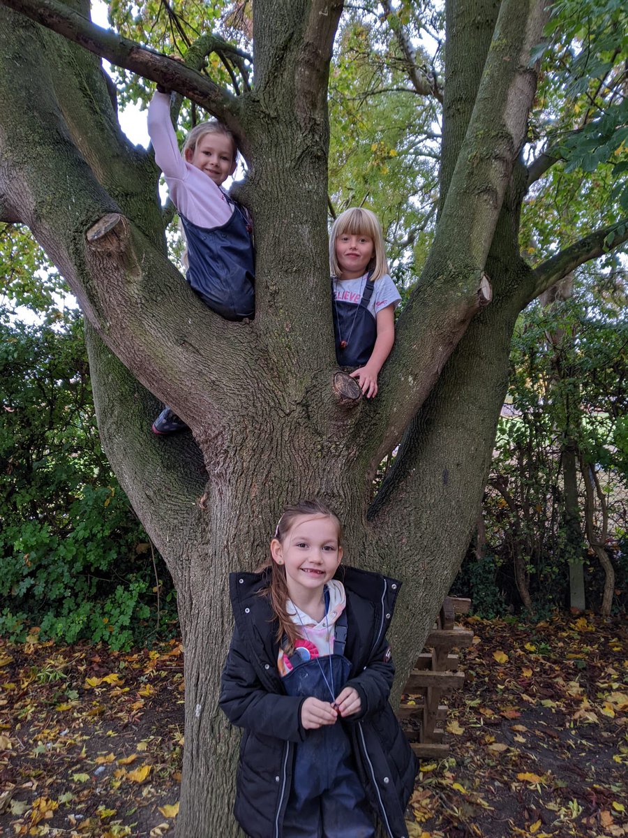 Millbrook Primary School tweet media