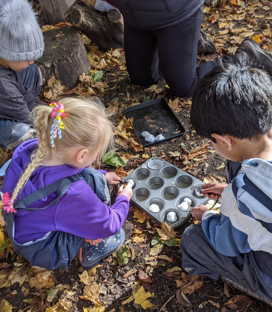 Millbrook Primary School tweet media