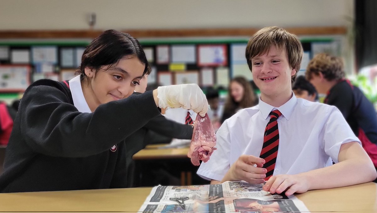 SJCRSTEM tweet media