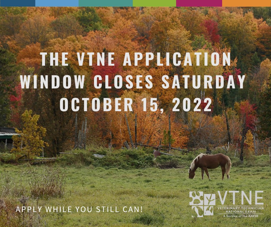 AAVSB's tweet photo. The application window for the VTNE Exam closes tomorrow, October 15. Are you ready for the November 15 - December 15 exam window? The AAVSB offers 4 versions of the VTNE online practice test. View Official VTNE Practice Tests and other study materials at https://t.co/FWTUSNFknx https://t.co/Ytc5JNxYyi