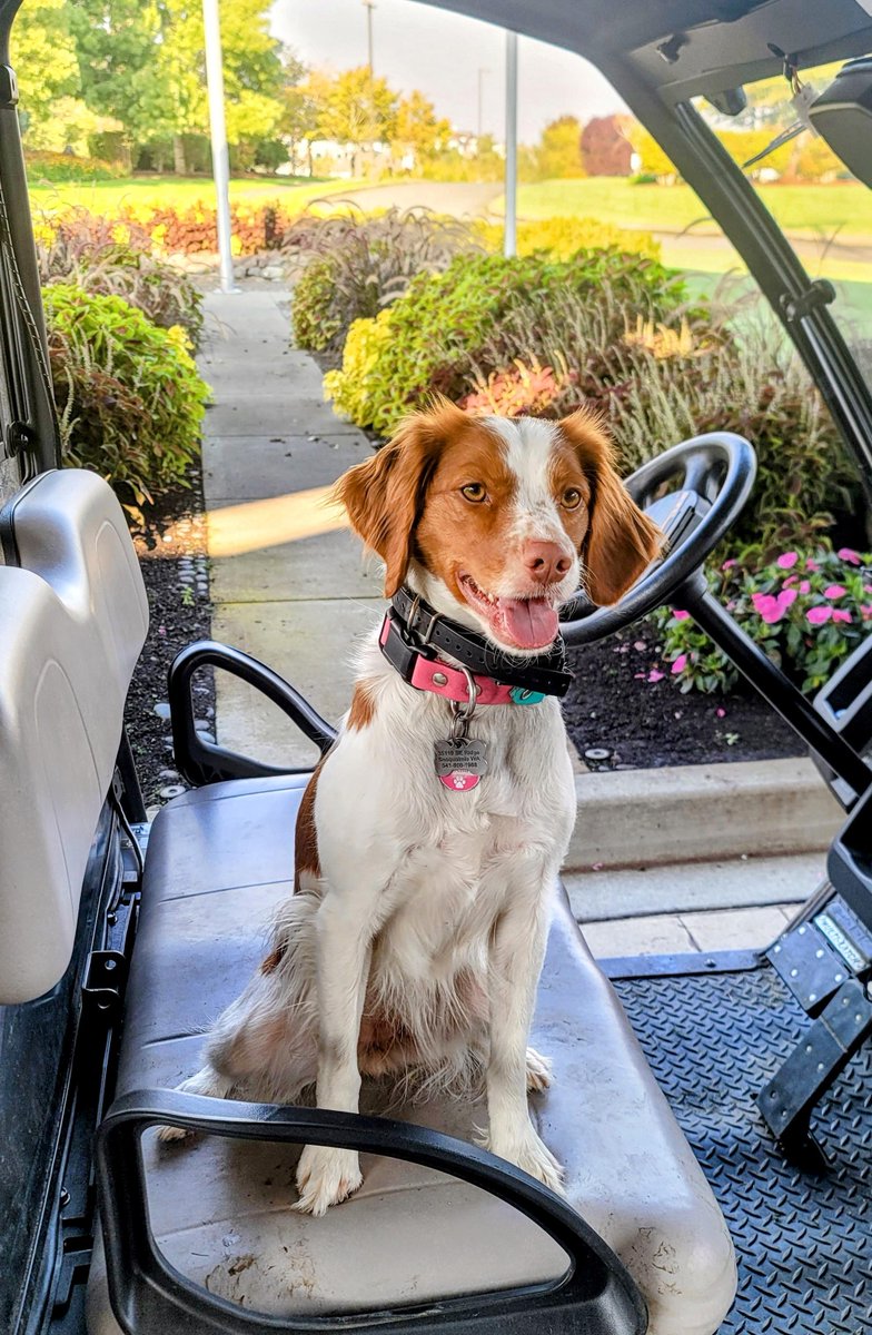 The Club at Snoqualmie Ridge tweet media