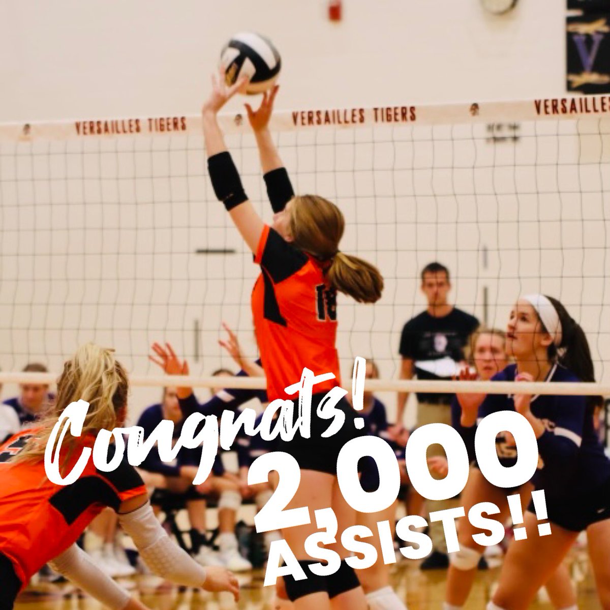 Versailles Volleyball tweet media
