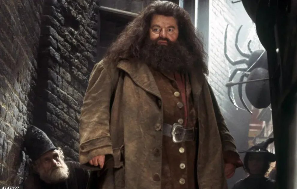 Mor Robbie Coltrane, el gegant Hagrid de la saga Harry Potter bit.ly/3fXQ1fc