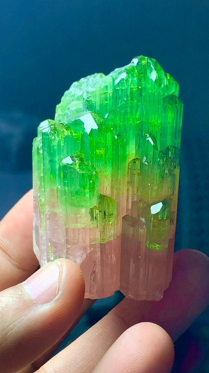 GeologyTime's tweet photo. Terminated bi-colour tourmaline crystals from North Kivu, DR Congo

Photo: Quality_Afg

#minerals #crystals https://t.co/nzMJI4ijMR