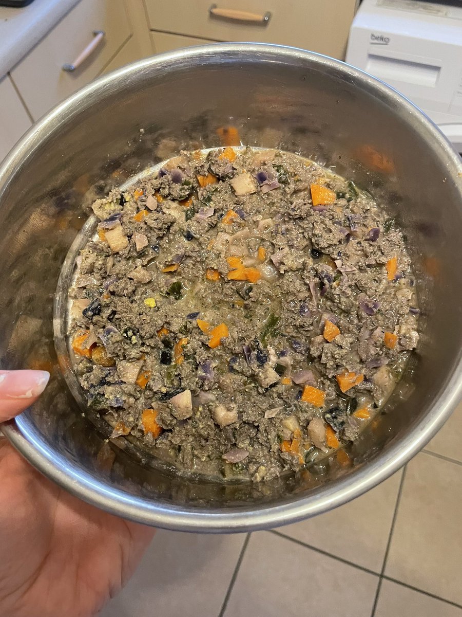 loumorcom's tweet image. First @_differentdog delivery today &amp;amp; super impressed so far. Love that I can choose my own recipes for the box as Nala can’t tolerate poultry at all. Tonight was lamb hotpot, smelt amazing gently warmed up and passed the worlds fussiest whippet test! #lickedclean #differentdog