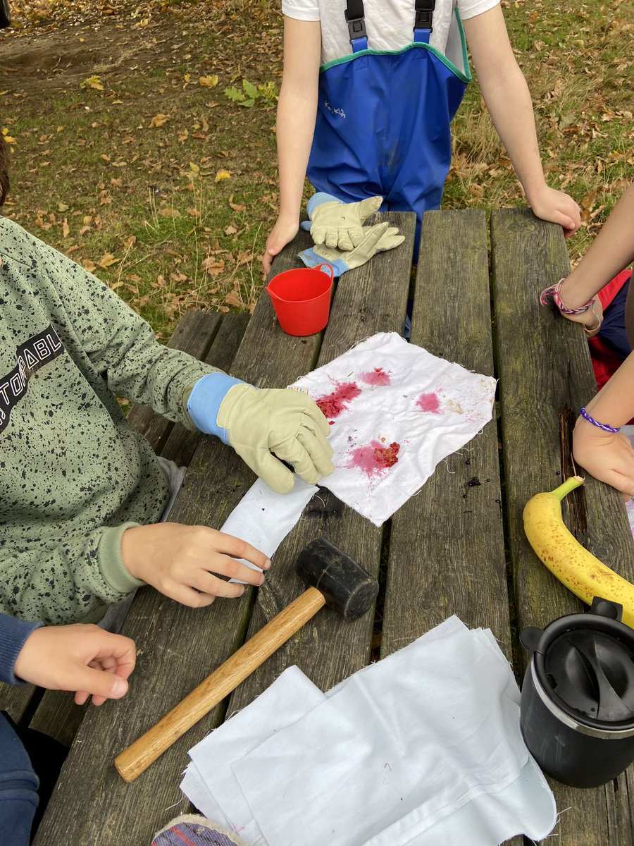 ForestStPauls's tweet photo. It’s been such a great #forestschool this term that we’ve been so busy we haven’t had time for photos!  Today was magical though! Tools, friends, fruit picking, den building… endless fun 😀
#forestschool #outdoorlearning #Outdoors #ChippenhamSchools https://t.co/S7rnKJ7SAL