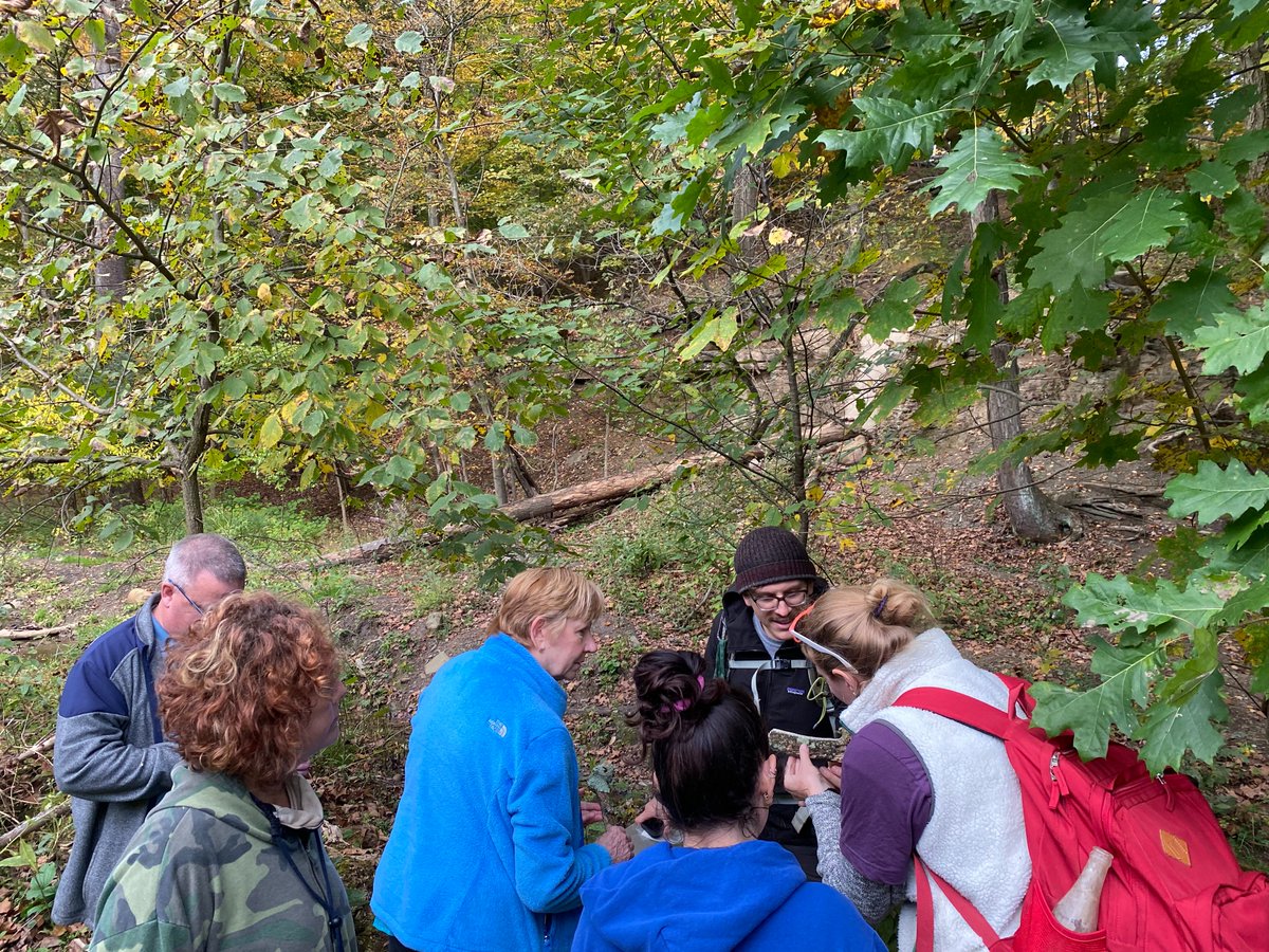 UpstreamPgh's tweet photo. We had such a good time hunting for 'shrooms last week! A big thank you to @pittsburghparks and the Western PA Mushroom Club for letting us borrow Steven Bucklin and his boundless enthusiasm for the evening! We can't wait for the next one! #mushrooms #naturelovers #frickpark https://t.co/oF7GLP6Tro